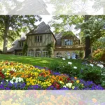 عنوان محصول مورد نظر