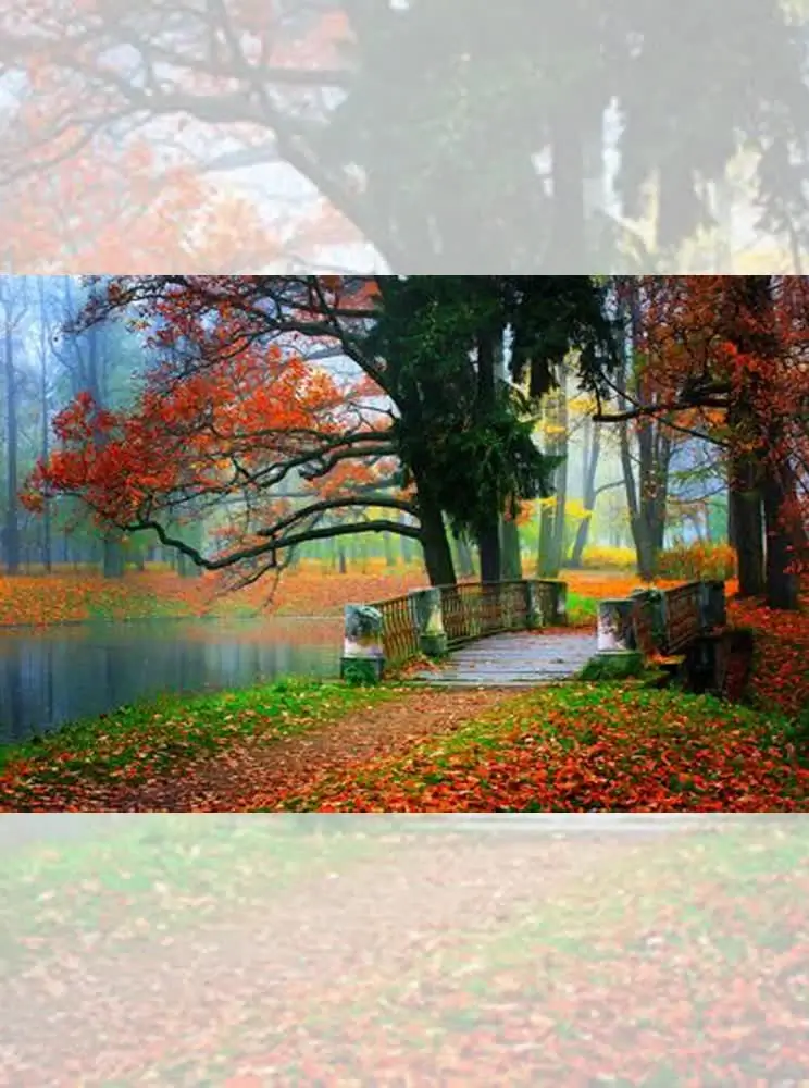 تابلو فرش چاپی طرح پل پاییزی تابلو فرش چاپی طرح پل پاییزی