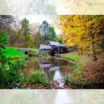 تابلو فرش چاپی طرح کلبه جنگلی