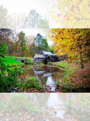 تابلو فرش چاپی طرح کلبه جنگلی