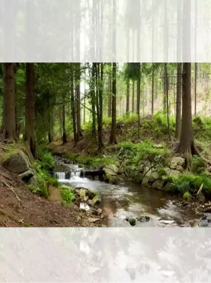 تابلو فرش ماشینی منظره جنگل و رود
